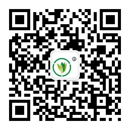 &#20048;&#40060;&#40;&#20013;&#22269;&#41;&#108;&#101;&#121;&#117;